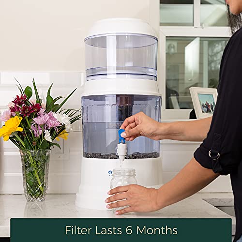 5-Stage Alkaline Replacement Filter for the Gravity Water System by Santevia | At Home Water Filter that Makes Water Alkaline and Adds Minerals | Filters Chlorine and Lead