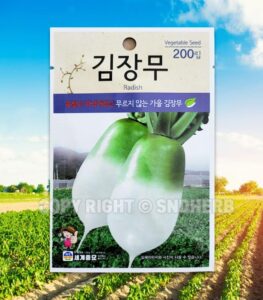 radish seeds korean.2 pack(4grams-each)