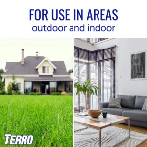 terro t401-6 indoor and outdoor ant killer aerosol spray - kills ants, cockroaches, crickets, scorpions, spiders, and other insects - 16 oz