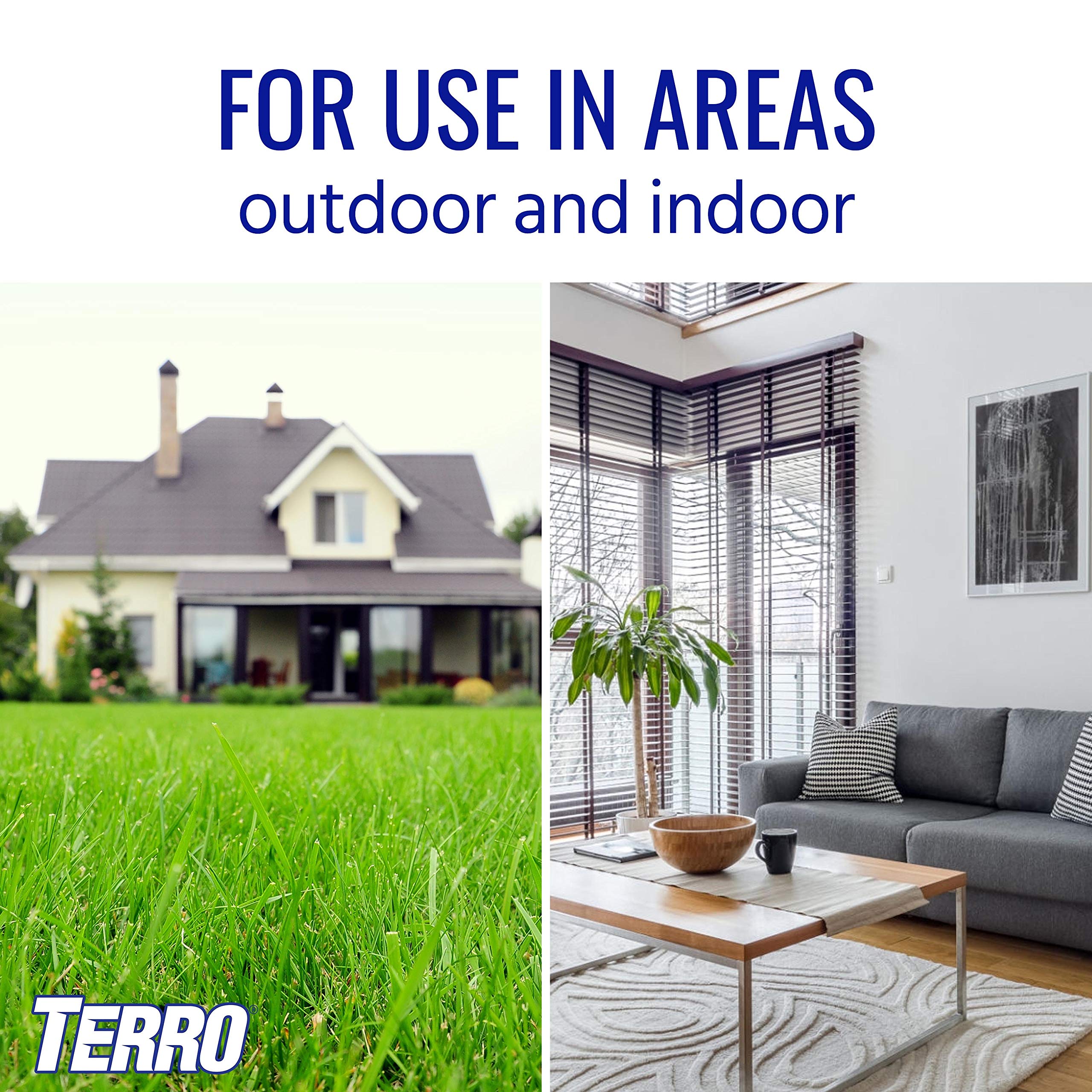 TERRO T401-6 Indoor and Outdoor Ant Killer Aerosol Spray - Kills Ants, Cockroaches, Crickets, Scorpions, Spiders, and Other Insects - 16 Oz