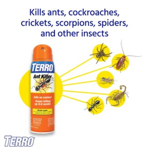 TERRO T401-6 Indoor and Outdoor Ant Killer Aerosol Spray - Kills Ants, Cockroaches, Crickets, Scorpions, Spiders, and Other Insects - 16 Oz