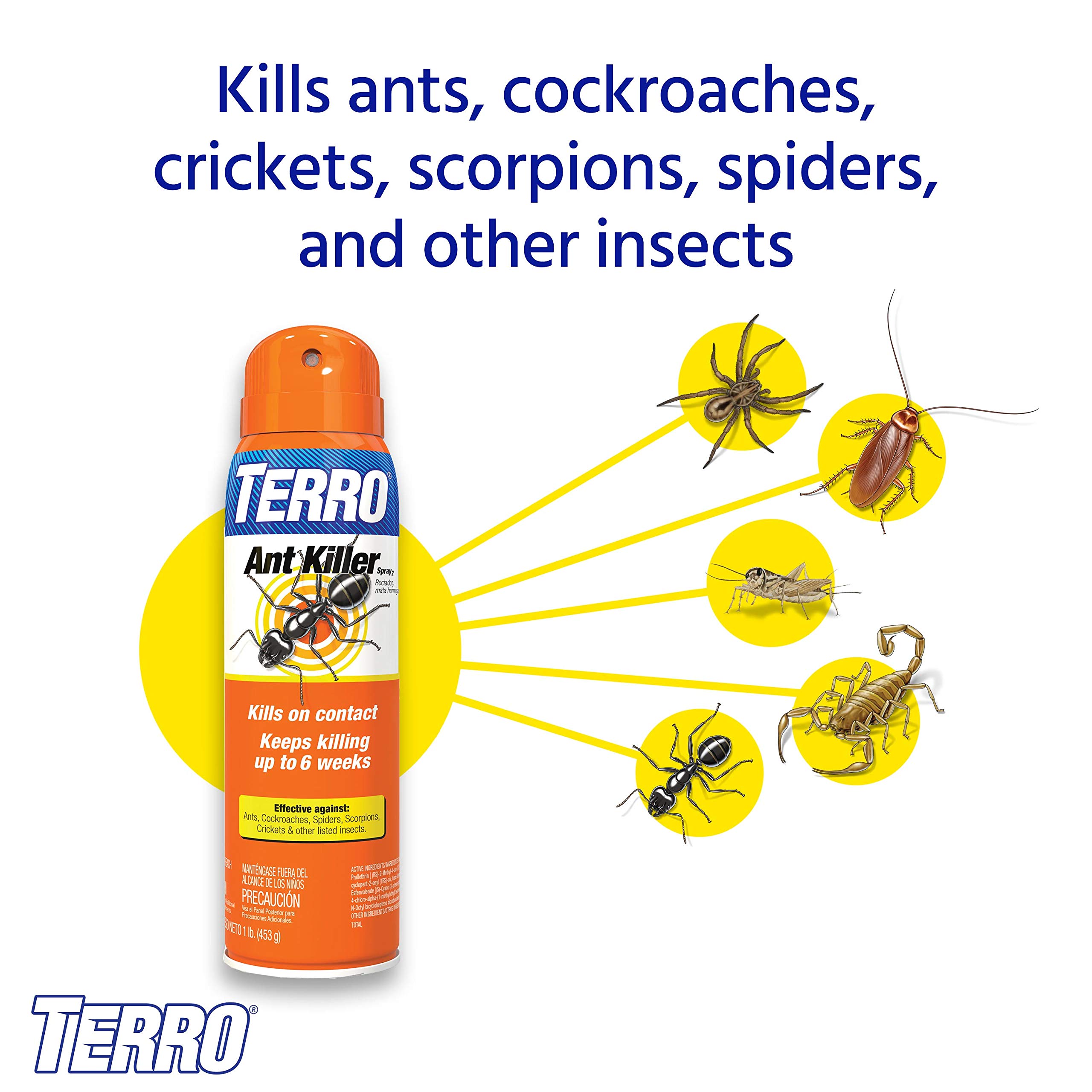 TERRO T401-6 Indoor and Outdoor Ant Killer Aerosol Spray - Kills Ants, Cockroaches, Crickets, Scorpions, Spiders, and Other Insects - 16 Oz