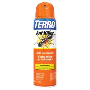 TERRO T401-6 Indoor and Outdoor Ant Killer Aerosol Spray - Kills Ants, Cockroaches, Crickets, Scorpions, Spiders, and Other Insects - 16 Oz