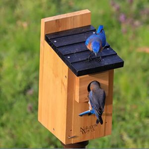 Nature's Way Bird Products CWH3 Cedar Bluebird Box House