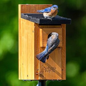Nature's Way Bird Products CWH3 Cedar Bluebird Box House