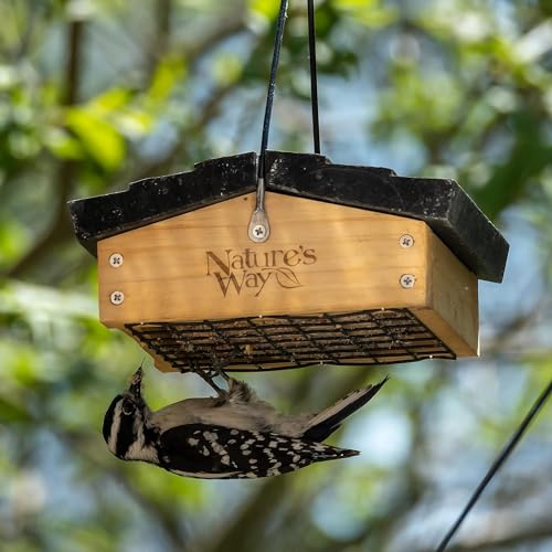 Nature's Way Bird Products CWF2 Cedar wood Suet Upside-Down Bird Feeder, 8.5"L x 8.5"W x 4.13"H, Black