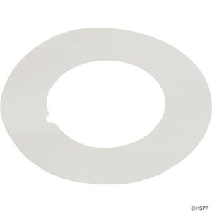 Pentair 272120 2-Inch Hi-Flow De Label Replacement for Pentair Pool and Spa Filter