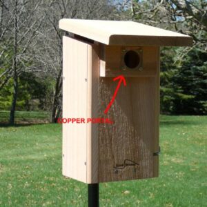 Kettle Moraine Copper Portal for Eastern Bluebird Bird Houses Predator Guard 1 1/2" Opening