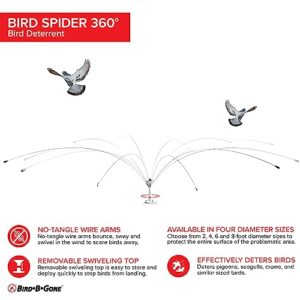 Bird B Gone MMBS600SPN Spinning Spider Bird Deterrent, 6-Foot, Silver