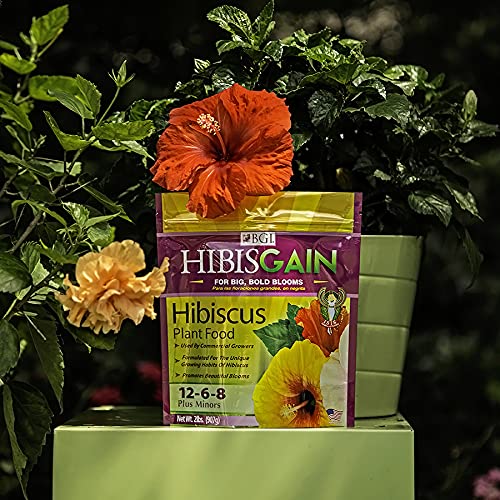 BGI Fertilizers Hibisgain Bag, Hibiscus Fertilizer, Hibiscus Plant Food, 2 lb