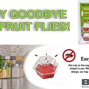 BEAPCO 10036 7 Red 6-Pack Premium Fruit Fly 6 Pre-Filled Trap Flies Indoors | Easy Effective and Safe to Use | Food-Based Lure/Bait Catcher