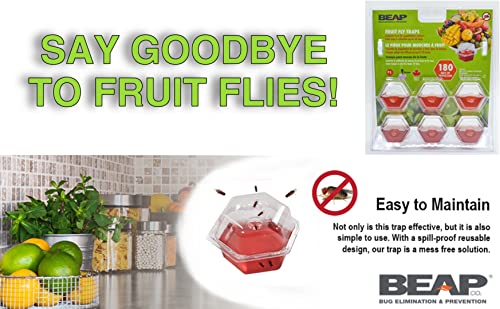 BEAPCO 10036 7 Red 6-Pack Premium Fruit Fly 6 Pre-Filled Trap Flies Indoors | Easy Effective and Safe to Use | Food-Based Lure/Bait Catcher