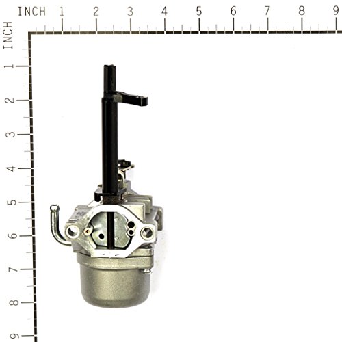 Briggs & Stratton 591378 Carburetor Replaces 796321, 696132, 696133, 796322