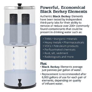 Big Berkey Gravity-Fed Stainless Steel Countertop Water Filter System 2.25 Gallon with 2 Authentic Black Berkey Elements BB9-2 Filters