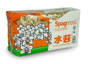 spagmoss premium new zealand sphagnum moss for all types of flowers 150 grams (12 liters)