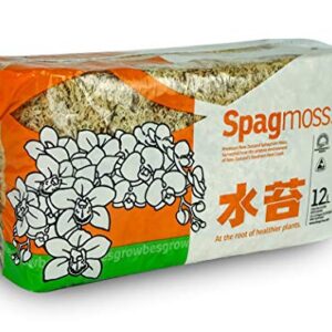 Spagmoss Premium New Zealand Sphagnum Moss for All Types of Flowers 150 Grams (12 Liters)