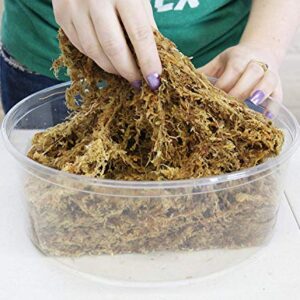 Spagmoss Premium New Zealand Sphagnum Moss for All Types of Flowers 150 Grams (12 Liters)