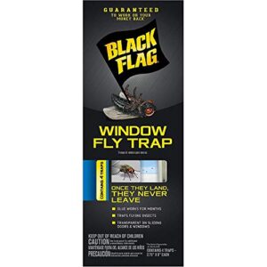 black flag window fly trap 16 pack (4 packages with 4 traps ea)