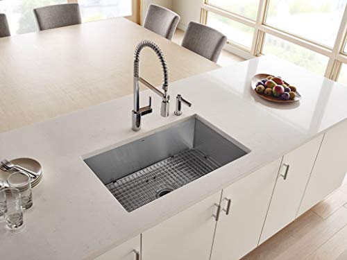 Moen G16100 Sink, Stainless