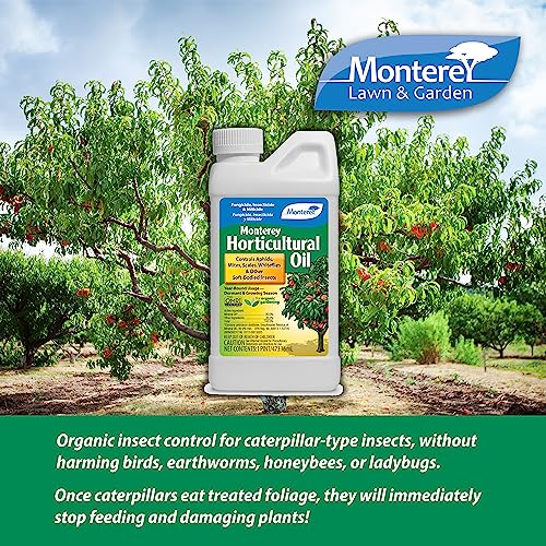 Monterey LG 6286 Horticultural Oil Concentrate Insecticide/Pesticide Treatment for Control of Insects, 16 oz