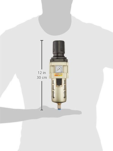 Rapidair K93217 NPT Filter Regulator, 3/4-Inch