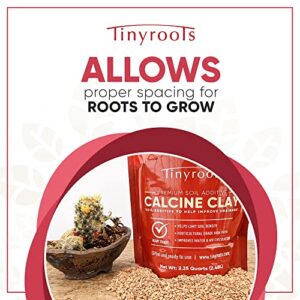 Tinyroots Clay Soil for Plants, 2.25 Quart Bag, Bonsai Tree Soil Additive, Turface Clay Holds Moisture, Provides Drainage and Aids in Root Development