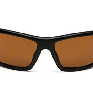 Carhartt Carbondale Safety Sunglasses with Sandstone Bronze Lens Black/tan