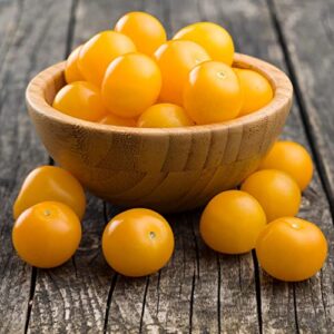 SUNSUGAR SUN SUGAR TOMATO SEED ~ SWEETEST TOMATO AVAILABLE ? - EXTREMELY SWEET - Very Early Cherry Tomato - 50 - 55 DAYS (0015 Seeds - 15 Seeds - Pkt. Size)