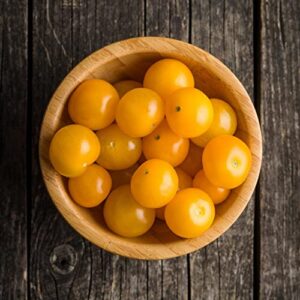 SUNSUGAR SUN SUGAR TOMATO SEED ~ SWEETEST TOMATO AVAILABLE ? - EXTREMELY SWEET - Very Early Cherry Tomato - 50 - 55 DAYS (0015 Seeds - 15 Seeds - Pkt. Size)