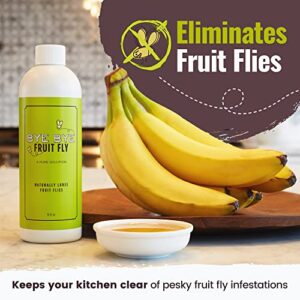 Bye Bye Fruit Fly - Natural Fruit Fly Killer, Liquid Fly Traps for Indoors, Pure Solution Fruit Fly Traps for Indoors Refill Liquid, Safe Near Pets, Food, & Kids, 16 oz