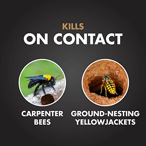 Spectracide Termite Killer, 16 oz - 12 count
