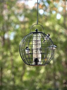 gardeners supply company globe cage bird feeder | sturdy and squirrel proof outdoor garden hanging hummingbird feeder with mixed seeds container | best for finches nuthatches and other small birds