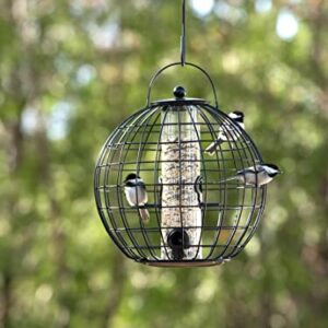 Gardeners Supply Company Globe Cage Bird Feeder | Sturdy and Squirrel Proof Outdoor Garden Hanging Hummingbird Feeder with Mixed Seeds Container | Best for Finches Nuthatches and Other Small Birds