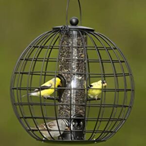 Gardeners Supply Company Globe Cage Bird Feeder | Sturdy and Squirrel Proof Outdoor Garden Hanging Hummingbird Feeder with Mixed Seeds Container | Best for Finches Nuthatches and Other Small Birds