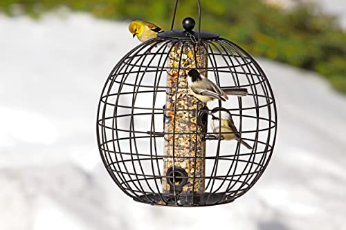 Gardeners Supply Company Globe Cage Bird Feeder | Sturdy and Squirrel Proof Outdoor Garden Hanging Hummingbird Feeder with Mixed Seeds Container | Best for Finches Nuthatches and Other Small Birds