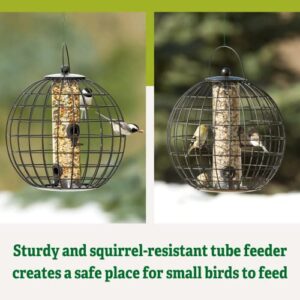 Gardeners Supply Company Globe Cage Bird Feeder | Sturdy and Squirrel Proof Outdoor Garden Hanging Hummingbird Feeder with Mixed Seeds Container | Best for Finches Nuthatches and Other Small Birds