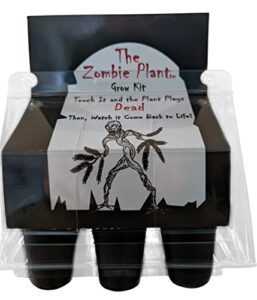 zombie plant greenhouse grow kit- (touch it and it plays dead!) unique nature kit- grow a fun house plant that plays dead when you touch it! comes back to life in minute. unique christmas gift idea