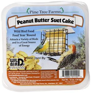 6 pack pine tree farms peanut butter suet cake wild bird food 12 ounce