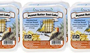 6 Pack Pine Tree Farms Peanut Butter Suet Cake Wild Bird Food 12 Ounce