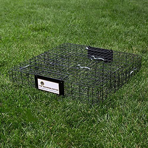 Rugged Ranch SQRTO Squirrelinator Trap CatchMor Live Chipmunk Squirrel Rat Mouse Rodent Small Animal Metal Wire 2 Door Trap Cage (Trap Only), Black