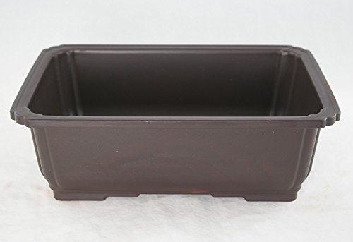 Rectangular Plastic Bonsai/Succulent Pot 10.5"x 7.75"x 3.5" - Dark Brown