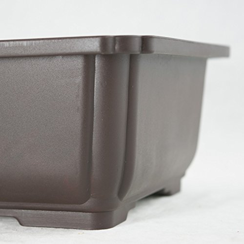 Rectangular Plastic Bonsai/Succulent Pot 10.5"x 7.75"x 3.5" - Dark Brown