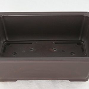 Rectangular Plastic Bonsai/Succulent Pot 10.5"x 7.75"x 3.5" - Dark Brown