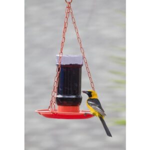 Perky-Pet 253 Wild Oriole Jelly Bird Feeder - 32 Ounce Feeder Capacity