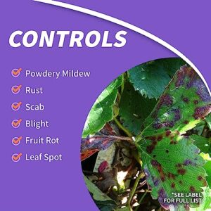 Bonide Fruit Tree & Plant Guard, 16 oz Ready-to-Spray Insect & Disease Control for Trees, Shrubs and Flowers