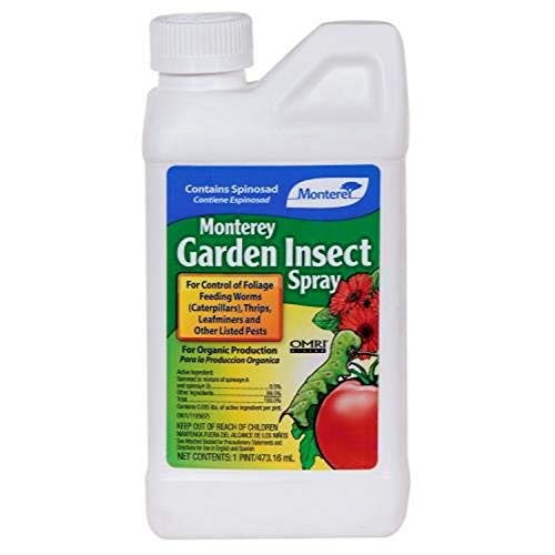 Monterey 704606 Insect Spray, Natural