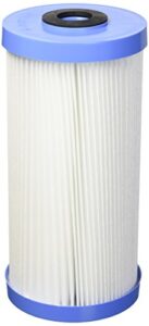 (package of 2) pentek r30-bb pleated polyester water filters (9-3/4" x 4-1/2")