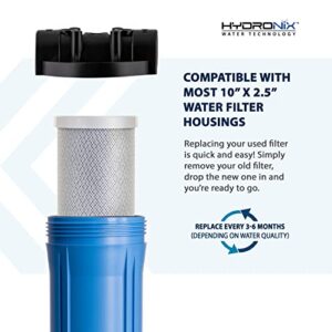 Hydronix CB-25-1005 Whole House RO & Drinking Systems NSF Coconut Carbon Block Water Filter 2.5 x 10-5 Micron (2 Pack)