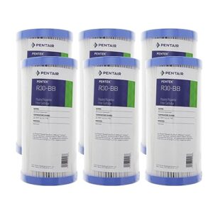 (package of 6) pentek r30-bb pleated polyester water filters (9-3/4" x 4-1/2")