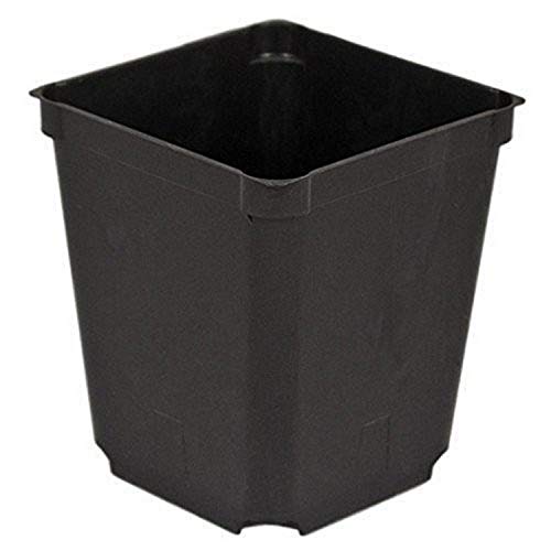 McConkey Square Nursery Pot, Case of 60